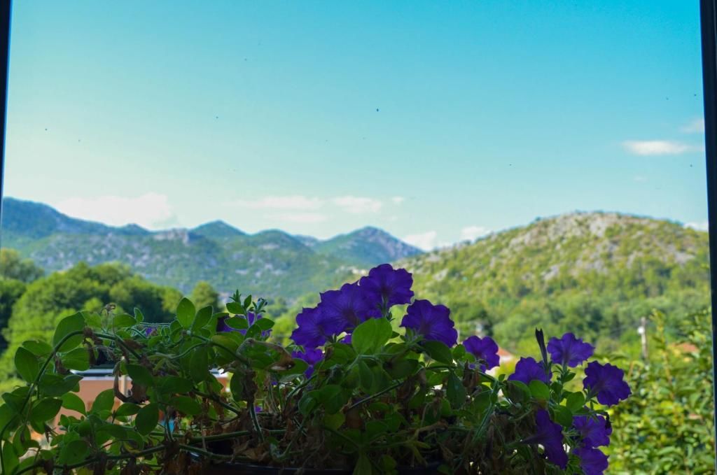 Апартаменты Villa Semeder Вирпазар-61